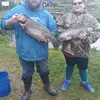 davidshimp923 - @davidshimp923 - TikTok