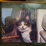 David Shipton - @strontenburg - Instagram