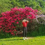 David Shipton - @david.pierrre - Instagram