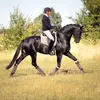 David Shoobridge - @david_shoobridge - TikTok