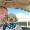 david shofner - @davidshofner - TikTok