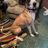 David Shoptaw - @david.shoptaw - TikTok