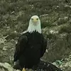 davidshortt17 - @davidshortt17 - TikTok