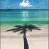 douceur des îles - @davidsarable - TikTok