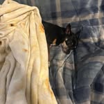 David Shuler - @davidshuler2010 - Instagram