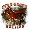 David Shuman - @stargazerbullies - TikTok