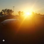 David Shute - @davidshute - Instagram