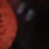 davidshute490 - @davidshute490 - TikTok