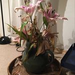 David Sickinger - @davidzuckersickinger - Instagram