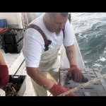 David Sigmon - @chesapeake_bay_waterman - Instagram
