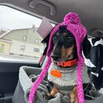 David Signorelli - @david_signorelli - Instagram