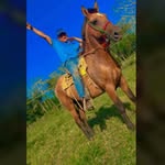 Dävïd Sïlvänö - @davidsilvano7 - Instagram