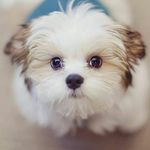 David Silverio - @david.silverio.9822 - Instagram