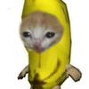 davidsilverio635 - @davidsilverio635 - TikTok
