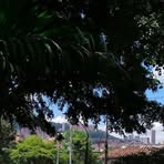 Juan David Samarra - Facebook