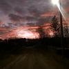 david_simi_1 - @david_simi_1 - TikTok