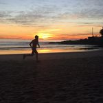 David Simington - @simingtondavid - Instagram