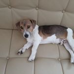 David Simmeren - @davidsimmeren - Instagram