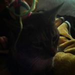 David Simpkins - @_.david.simpkins._ - Instagram