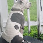 David Simpkins - @david.simpkins.712 - Instagram