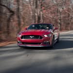 David Sindlinger - @dsindlinger - Instagram