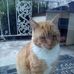 David Sing - Facebook