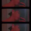 David Sinka - @david.sinka6 - TikTok