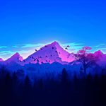 Dávid Sinkó - @sinkodavid_ - Instagram