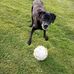 David Sinnott - Facebook