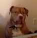 David Sipe - Facebook