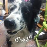 David Sipes - @david.sipes.10 - Instagram
