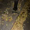 david - @davidsirestulnuconteaza - TikTok