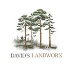 David Sisson - @davidlandworx - Instagram