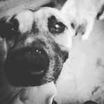 David Siu - @davsiu13 - Instagram