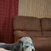 David Skillicorn - Facebook