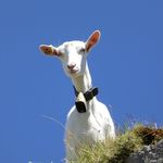 David Skipper - @david.skipper.399 - Instagram
