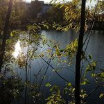 David Slate - @davidslate008 - Instagram