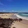 david slater - @david.slater5 - TikTok