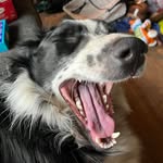 David Sleightam - @davidsleightam - Instagram