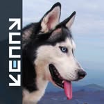 David Slezak - @kennysek977 - Instagram
