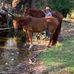 David Small - Facebook