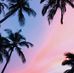 David Smay - Facebook