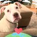 David Smeal - Facebook