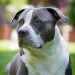 David Smets - @zolex - Instagram