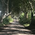 David Smullen - @davidsmullen - Instagram