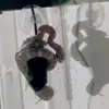 David 🐍 - @david.thesnake - TikTok