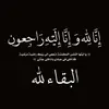 david__snake - @david__snake - TikTok
