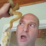 David's Snakes - Facebook