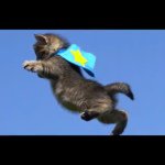David Snedden - @5upermonkey - Instagram