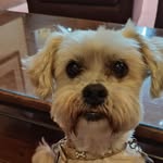 David Snedden - @sneddendavid - Instagram